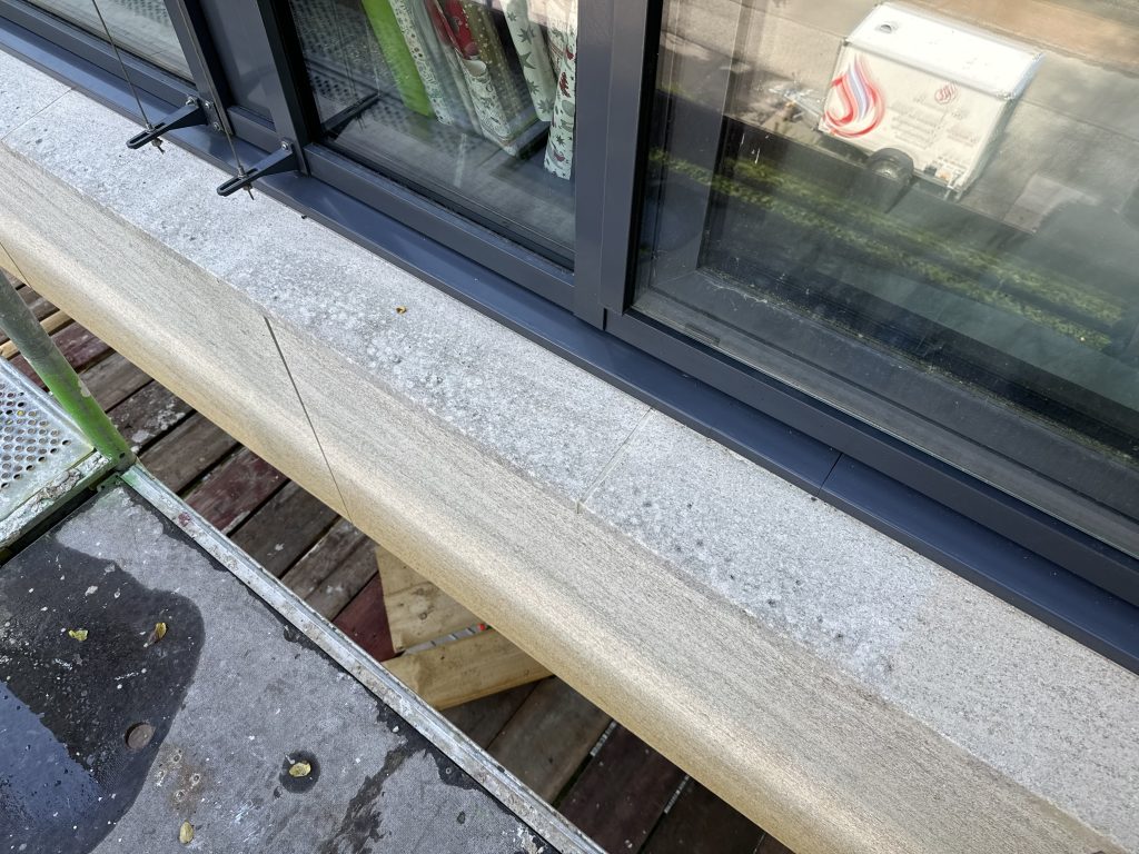 Flechten_ Algen vohrer