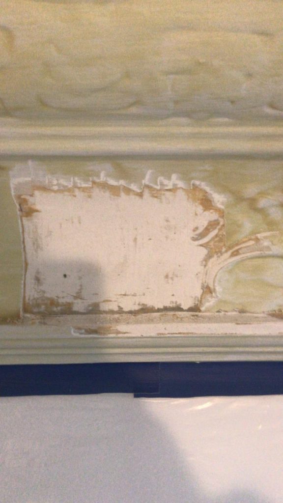 WhatsApp Image 2018-01-09 at 10.00.00